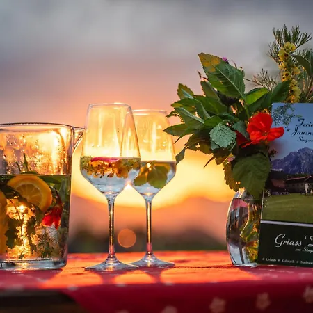 Singerskogel - Und Jausnstub'n Casa de Campo *