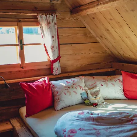 Singerskogel - Und Jausnstub'n Casa de Campo *