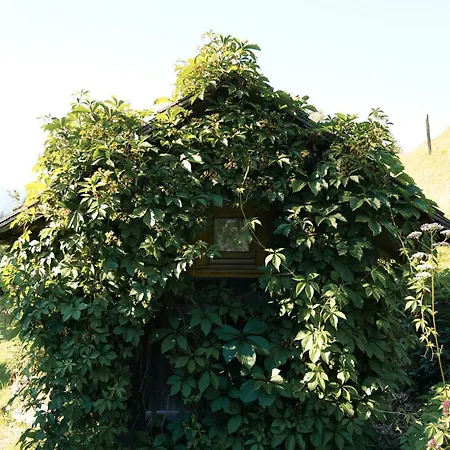 Singerskogel - Und Jausnstub'n