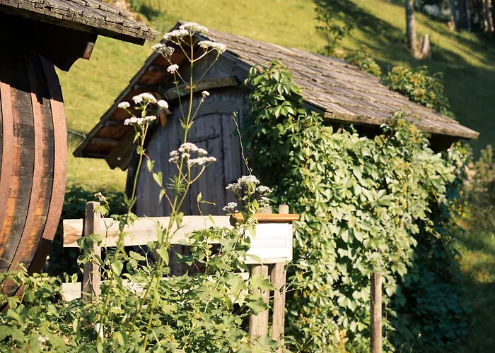 Singerskogel - Und Jausnstub`n