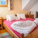 カントリーハウス Singerskogel - Und Jausnstub'n