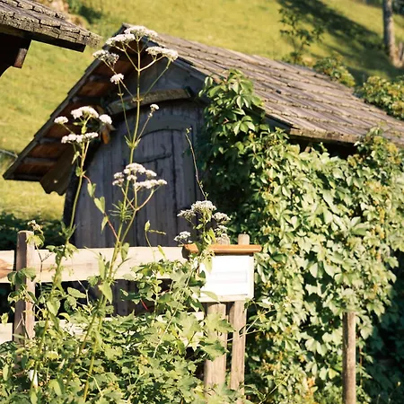 Singerskogel - Und Jausnstub'n