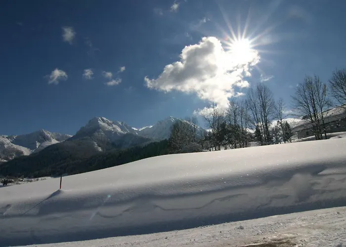 カントリーハウス Singerskogel - Und Jausnstub'n